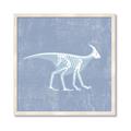 Picture of Blue X-ray Dino I _GroupedProduct_Square_Mini_ _GroupedProduct_Square_Framed_Matted_