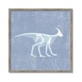 Picture of Blue X-ray Dino I _GroupedProduct_Square_Mini_ _GroupedProduct_Square_Framed_Matted_