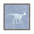 Picture of Blue X-ray Dino I _GroupedProduct_Square_Mini_ _GroupedProduct_Square_Framed_Matted_