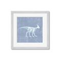 Picture of Blue X-ray Dino I _GroupedProduct_Square_Mini_ _GroupedProduct_Square_Framed_Matted_