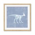 Picture of Blue X-ray Dino I _GroupedProduct_Square_Mini_ _GroupedProduct_Square_Framed_Matted_