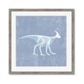 Picture of Blue X-ray Dino I _GroupedProduct_Square_Mini_ _GroupedProduct_Square_Framed_Matted_