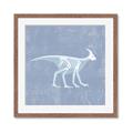 Picture of Blue X-ray Dino I _GroupedProduct_Square_Mini_ _GroupedProduct_Square_Framed_Matted_