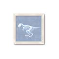 Picture of Blue X-ray Dino II _GroupedProduct_Square_Mini_ _GroupedProduct_Square_Framed_Matted_