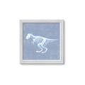 Picture of Blue X-ray Dino II _GroupedProduct_Square_Mini_ _GroupedProduct_Square_Framed_Matted_