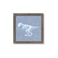 Picture of Blue X-ray Dino II _GroupedProduct_Square_Mini_ _GroupedProduct_Square_Framed_Matted_