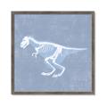 Picture of Blue X-ray Dino II _GroupedProduct_Square_Mini_ _GroupedProduct_Square_Framed_Matted_