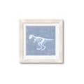 Picture of Blue X-ray Dino II _GroupedProduct_Square_Mini_ _GroupedProduct_Square_Framed_Matted_
