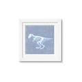 Picture of Blue X-ray Dino II _GroupedProduct_Square_Mini_ _GroupedProduct_Square_Framed_Matted_