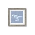 Picture of Blue X-ray Dino II _GroupedProduct_Square_Mini_ _GroupedProduct_Square_Framed_Matted_