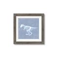 Picture of Blue X-ray Dino II _GroupedProduct_Square_Mini_ _GroupedProduct_Square_Framed_Matted_
