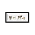 Picture of Woodland Animal Row _GroupedProduct_Panel_Landscape_Mini_ _GroupedProduct_Panel_Landscape_Framed_Matted_