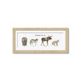 Picture of Woodland Animal Row _GroupedProduct_Panel_Landscape_Mini_ _GroupedProduct_Panel_Landscape_Framed_Matted_