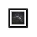 Picture of Blueprint Jet I _GroupedProduct_Square_Mini_ _GroupedProduct_Square_Framed_Matted_