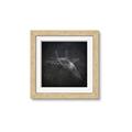 Picture of Blueprint Jet I _GroupedProduct_Square_Mini_ _GroupedProduct_Square_Framed_Matted_