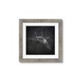 Picture of Blueprint Jet I _GroupedProduct_Square_Mini_ _GroupedProduct_Square_Framed_Matted_