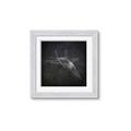Picture of Blueprint Jet I _GroupedProduct_Square_Mini_ _GroupedProduct_Square_Framed_Matted_