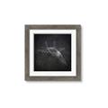 Picture of Blueprint Jet I _GroupedProduct_Square_Mini_ _GroupedProduct_Square_Framed_Matted_