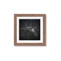 Picture of Blueprint Jet I _GroupedProduct_Square_Mini_ _GroupedProduct_Square_Framed_Matted_