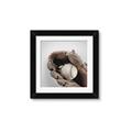 Picture of Baseball     _GroupedProduct_Square_Mini_ _GroupedProduct_Square_Framed_Matted_