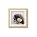 Picture of Baseball     _GroupedProduct_Square_Mini_ _GroupedProduct_Square_Framed_Matted_