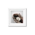 Picture of Baseball     _GroupedProduct_Square_Mini_ _GroupedProduct_Square_Framed_Matted_