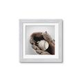 Picture of Baseball     _GroupedProduct_Square_Mini_ _GroupedProduct_Square_Framed_Matted_