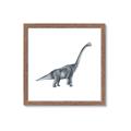 Picture of Gray Dino XIII _GroupedProduct_Square_Mini_ _GroupedProduct_Square_Framed_Matted_