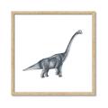 Picture of Gray Dino XIII _GroupedProduct_Square_Mini_ _GroupedProduct_Square_Framed_Matted_
