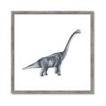 Picture of Gray Dino XIII _GroupedProduct_Square_Mini_ _GroupedProduct_Square_Framed_Matted_