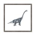 Picture of Gray Dino XIII _GroupedProduct_Square_Mini_ _GroupedProduct_Square_Framed_Matted_