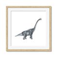Picture of Gray Dino XIII _GroupedProduct_Square_Mini_ _GroupedProduct_Square_Framed_Matted_