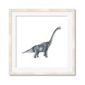 Picture of Gray Dino XIII _GroupedProduct_Square_Mini_ _GroupedProduct_Square_Framed_Matted_
