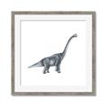 Picture of Gray Dino XIII _GroupedProduct_Square_Mini_ _GroupedProduct_Square_Framed_Matted_