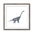 Picture of Gray Dino XIII _GroupedProduct_Square_Mini_ _GroupedProduct_Square_Framed_Matted_