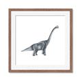 Picture of Gray Dino XIII _GroupedProduct_Square_Mini_ _GroupedProduct_Square_Framed_Matted_