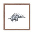 Picture of Gray Dino II _GroupedProduct_Square_Mini_ _GroupedProduct_Square_Framed_Matted_