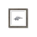 Picture of Gray Dino II _GroupedProduct_Square_Mini_ _GroupedProduct_Square_Framed_Matted_