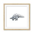 Picture of Gray Dino II _GroupedProduct_Square_Mini_ _GroupedProduct_Square_Framed_Matted_