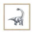 Picture of Gray Dino V _GroupedProduct_Square_Mini_ _GroupedProduct_Square_Framed_Matted_