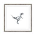 Picture of Gray Dino VI _GroupedProduct_Square_Mini_ _GroupedProduct_Square_Framed_Matted_