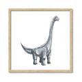 Picture of Gray Dino VIII _GroupedProduct_Square_Mini_ _GroupedProduct_Square_Framed_Matted_