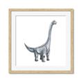 Picture of Gray Dino VIII _GroupedProduct_Square_Mini_ _GroupedProduct_Square_Framed_Matted_