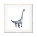Picture of Gray Dino VIII _GroupedProduct_Square_Mini_ _GroupedProduct_Square_Framed_Matted_