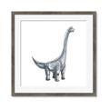 Picture of Gray Dino VIII _GroupedProduct_Square_Mini_ _GroupedProduct_Square_Framed_Matted_