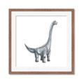 Picture of Gray Dino VIII _GroupedProduct_Square_Mini_ _GroupedProduct_Square_Framed_Matted_