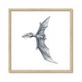 Picture of Gray Dino IX _GroupedProduct_Square_Mini_ _GroupedProduct_Square_Framed_Matted_