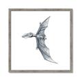 Picture of Gray Dino IX _GroupedProduct_Square_Mini_ _GroupedProduct_Square_Framed_Matted_