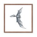 Picture of Gray Dino IX _GroupedProduct_Square_Mini_ _GroupedProduct_Square_Framed_Matted_
