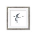 Picture of Gray Dino XI _GroupedProduct_Square_Mini_ _GroupedProduct_Square_Framed_Matted_